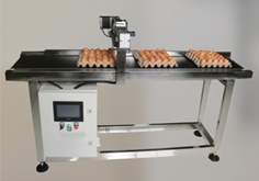 Custom conveyor for printing solution